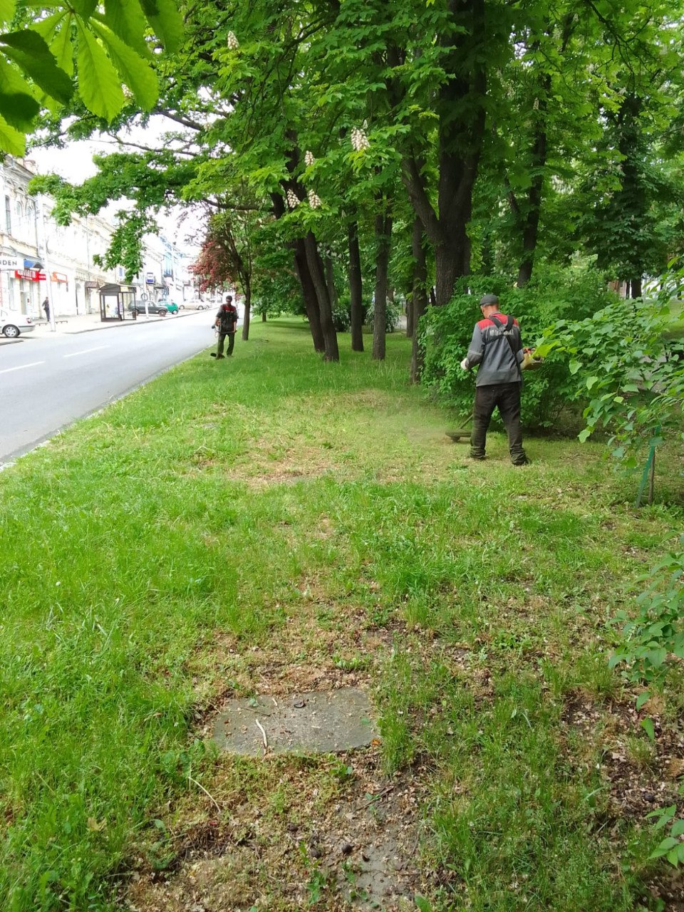 В Ставрополе завершили третий этап покоса травы | 25.05.2023 | Ставрополь -  БезФормата